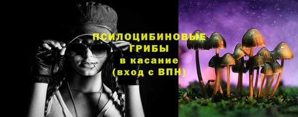 соль ск Арсеньев