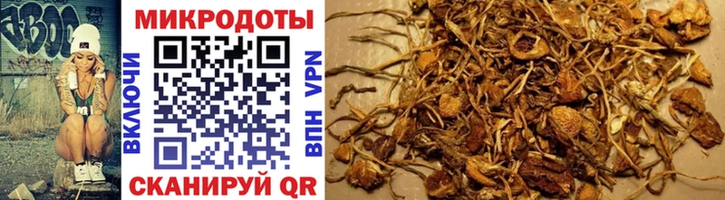 ссылка на мегу ссылки  Игарка  Галлюциногенные грибы Cubensis 
